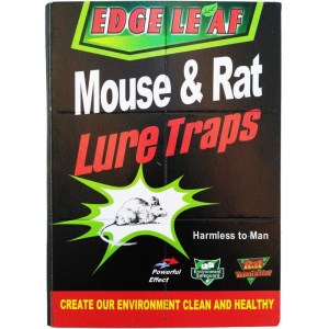 626900012549 626900012549